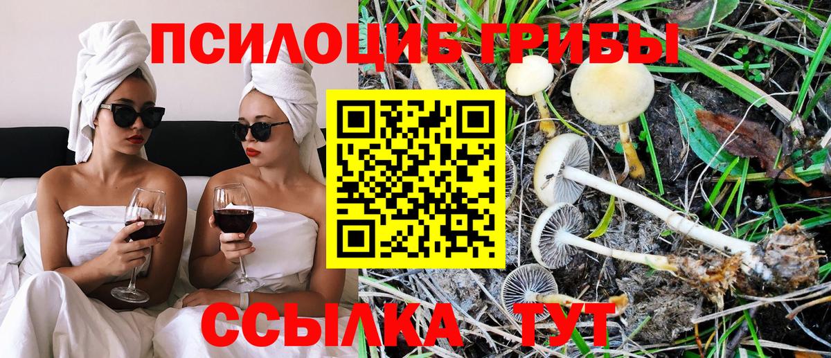 Мичуринск  как найти закладки  Вход с VPN  Галлюциногенные грибы MAGIC MUSHROOMS 